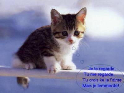  aaa  par folius